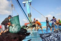 Bộ Công Thương đề nghị Thủ tướng Chính phủ chỉ đạo các Bộ ngành, địa phương cân đối, bố trí ngân sách để hỗ trợ giá xăng dầu cho ngư dân.