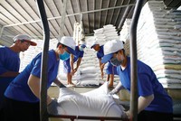 Xuất khẩu gạo của Việt Nam dự báo được hưởng lợi từ nguồn cung trên toàn cầu suy giảm mạnh.