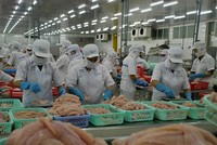 Chế biến thủy sản xuất khẩu ở Đồng bằng sông Cửu Long.