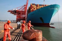 Thị trường vận tải container: "Bốc hơi" quá nhanh, liệu có sụp đổ?