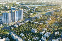 Tài chính Hoàng Huy (TCH) chốt quyền chia cổ tức 5% bằng tiền mặt