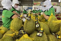 Việt Nam có hơn 2.400 mã sản phẩm được cấp phép xuất khẩu sang Trung Quốc