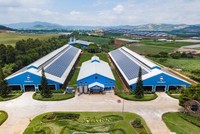 Cổ phiếu cần quan tâm ngày 16/5