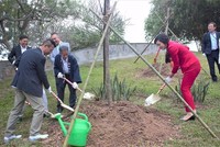 Các đại biểu trồng cây hoa anh đào tại Công viên Hòa Bình. (Ảnh: Nguyễn Cúc/TTXVN)