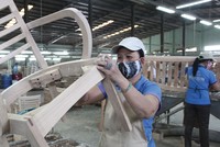 TTF đang nỗ lực đẩy mạnh tiêu thụ trong nước để bù đắp rủi ro suy giảm xuất khẩu.