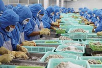 Mở rộng thị trường xuất khẩu đang là hướng đi của các doanh nghiệp chế biến thủy sản