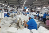 Quảng Nam: Nhiều doanh nghiệp công nghiệp phải thu hẹp sản xuất