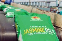 Gạo Việt Nam đang có giá xuất khẩu cao nhất trong vòng 12 năm trở lại đây