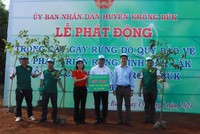 SeABank trao tặng 25.000 cây phủ xanh đất rừng tại Đắk Lắk