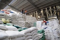 Giá gạo trên thị trường thế giới vẫn chưa có dấu hiệu giảm