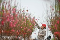Bộ Lao động-Thương binh và Xã hội đề xuất nghỉ Tết Nguyên đán năm 2024 kéo dài 7 ngày. (Ảnh minh hoạ: Minh Sơn/Vietnam+).