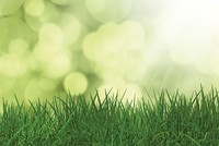 Phát triển bền vững: Động lực lâu bền cho tăng trưởng