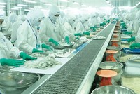 Thực phẩm Sao Ta (FMC): Thành công từ “4 chữ không”