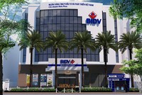 Sau kiểm toán, lợi nhuận BIDV vọt lên gần 8.000 tỷ đồng