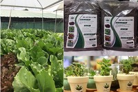 Hai sinh viên khởi nghiệp từ bùn thải