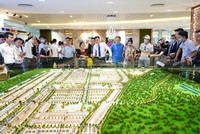 Đất Xanh (DXG): Một Phó tổng giám đốc kịp bán ra 690.000 cổ phiếu trước khi cổ phiếu bước vào chuỗi phiên lao dốc