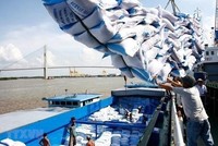 Xây dựng chuỗi cung ứng xuất khẩu gạo Việt Nam bền vững