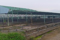 Ảnh Vnexpress.
