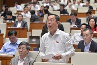 Đại biểu Mai Hồng Hải (Hải Phòng) phát biểu tại nghị trường.