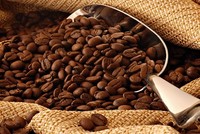 CTP: 9 tháng lãi 17,9 tỷ đồng lợi nhuận sau thuế