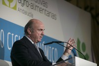 Ông Luis de Guindos, Phó chủ tịch ECB