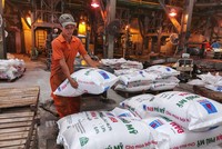Phân bón và Hóa chất Dầu khí (DPM) báo lãi 493 tỷ đồng trong 6 tháng, tăng 4,8 lần cùng kỳ