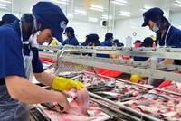 Cổ phiếu xuất khẩu tăng nhờ kỳ vọng kinh tế Mỹ hồi phục