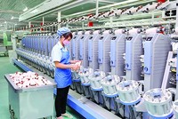 Một cá nhân trở thành cổ đông lớn tại Dệt may Thành công (TCM)