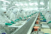 Thực phẩm Sao Ta (FMC) thông qua kế hoạch tăng vốn để xây nhà máy