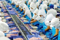 Lãnh đạo Vĩnh Hoàn (VHC) đăng ký bán ra gần hết số cổ phiếu sở hữu