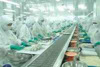 Lãnh đạo và người thân tại Thực phẩm Sao Ta (FMC) đăng ký bán trước ngày chốt quyền mua cổ phiếu