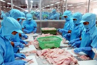 Vĩnh Hoàn (VHC): Năm 2020 lợi nhuận đạt 704,8 tỷ đồng, giảm 40,2% và không còn đầu tư chứng khoán