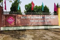May Sông Hồng (MSH): Quý IV/2020, lợi nhuận đạt 66,4 tỷ đồng, giảm 28,5%