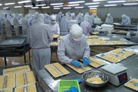 Camimex Group (CMX) chuẩn bị chào bán 30 triệu cổ phiếu riêng lẻ để huy động 351 tỷ đồng