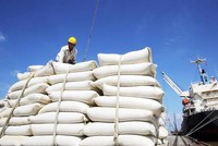 Giá lương thực toàn cầu đang tiến gần đến mức cao kỷ lục