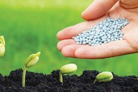 Tình trạng thiếu phân bón đang diễn ra ở Bắc Mỹ