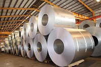 Hoa Sen (HSG): Quý I niên độ 2021-2022, biên lợi nhuận gộp giảm về 12,5%