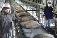 Xi măng Bỉm Sơn (BCC): Quý IV/2021 ghi nhận lỗ 10,82 tỷ đồng