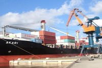 MHC (MHC): Quý IV/2021, lỗ do chi phí tài chính liên quan đầu tư tài chính và kinh doanh chứng khoán