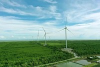 FECON (FCN) bị truy thu, tiền phạt và tiền chậm nộp thuế 1,06 tỷ đồng