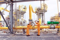 Phân phối khí thấp áp Dầu khí Việt Nam (PGD) đặt kế hoạch lợi nhuận năm 2022 giảm 19,3% về 205,1 tỷ đồng