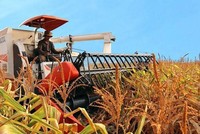 Ngân hàng vừa bán thêm 25,4 triệu cổ phiếu HNG để thu hồi nợ của Hoàng Anh Gia Lai (HAG)