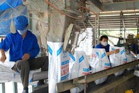 Supe Phốt phát và Hóa chất Lâm Thao (LAS) đặt kế hoạch lợi nhuận năm 2022 tăng lên 102 tỷ đồng