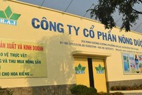 Nông dược H.A.I (HAI): Bất ngờ trích lập thêm 674,9 tỷ đồng dự phòng các khoản phải thu ngắn hạn trong quý IV/2021