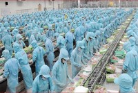 Đầu tư và Phát triển Đa quốc gia I.D.I (IDI): HOSE nhắc nhở chậm công bố thông tin