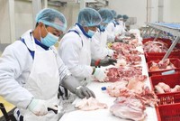 Quý II/2022, lợi nhuận Nông nghiệp BaF Việt Nam (BAF) giảm 62,6% về 40,42 tỷ đồng