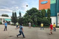 Quý II/2022, Gỗ Trường Thành (TTF) ghi nhận lỗ hoạt động kinh doanh cốt lõi 42,79 tỷ đồng