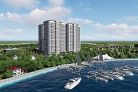 SAM Holdings (SAM): Tổ chức liên quan Chủ tịch HĐQT vừa mua vào 2,3 triệu cổ phiếu