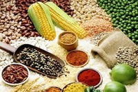 Chỉ số giá lương thực toàn cầu giảm nhẹ trong tháng 10