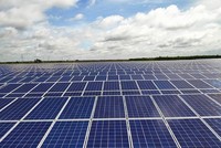 Quý IV/2022, lợi nhuận Trường Thành Group (TTA) tăng 33,8% nhờ hưởng lợi điều kiện thuỷ văn